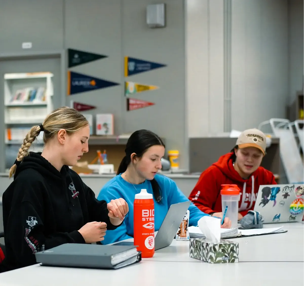 Fort Erie International Academy campus photo 52