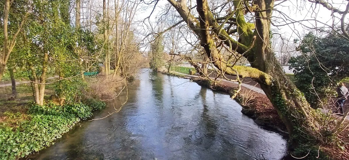 Marlborough College campus photo 10