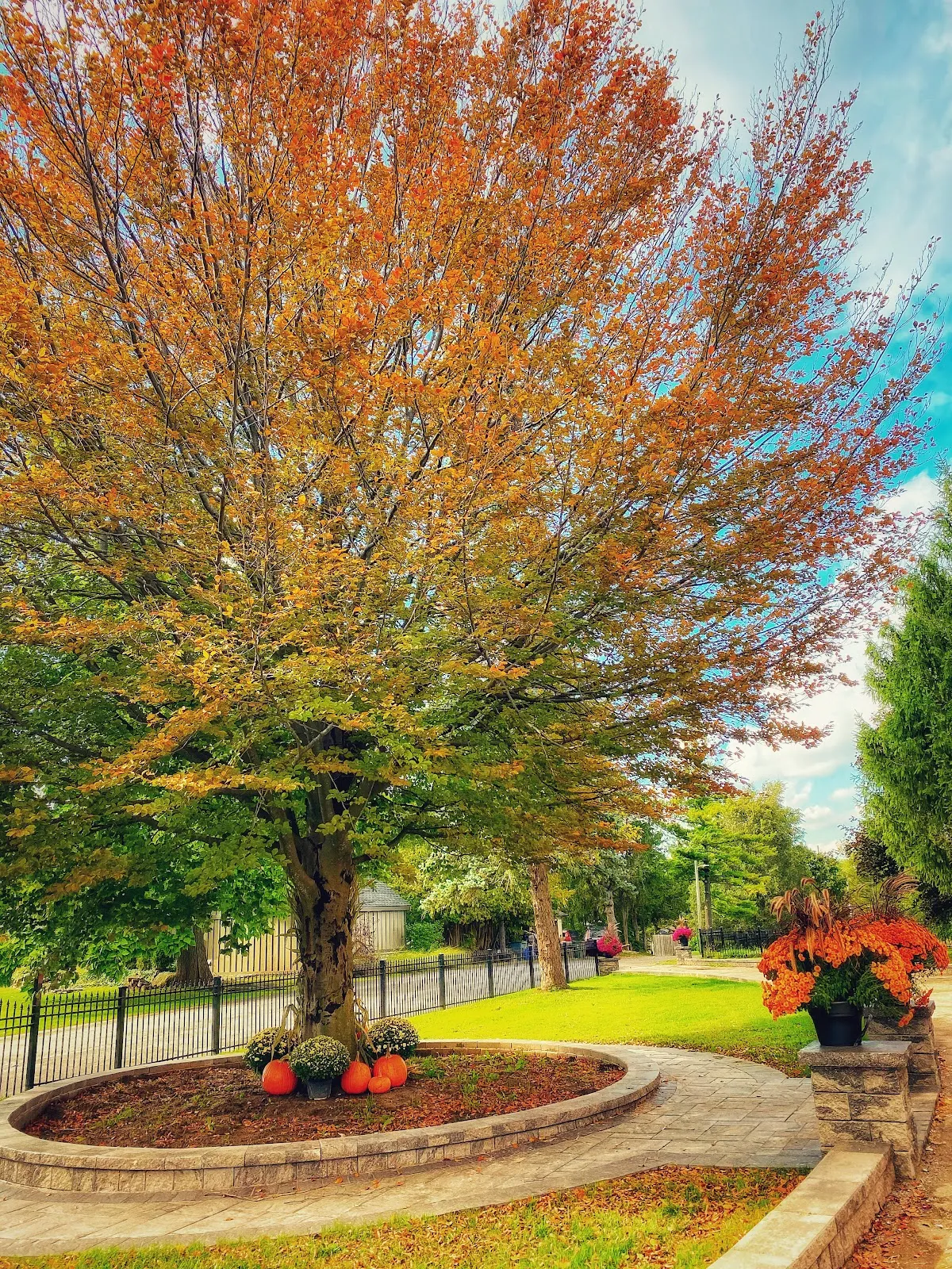 Lynden School campus photo 19