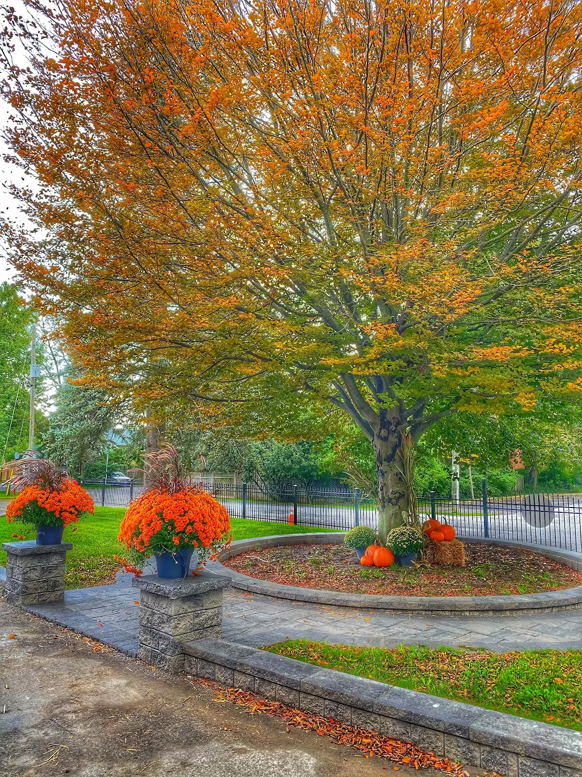 Lynden School campus photo 21