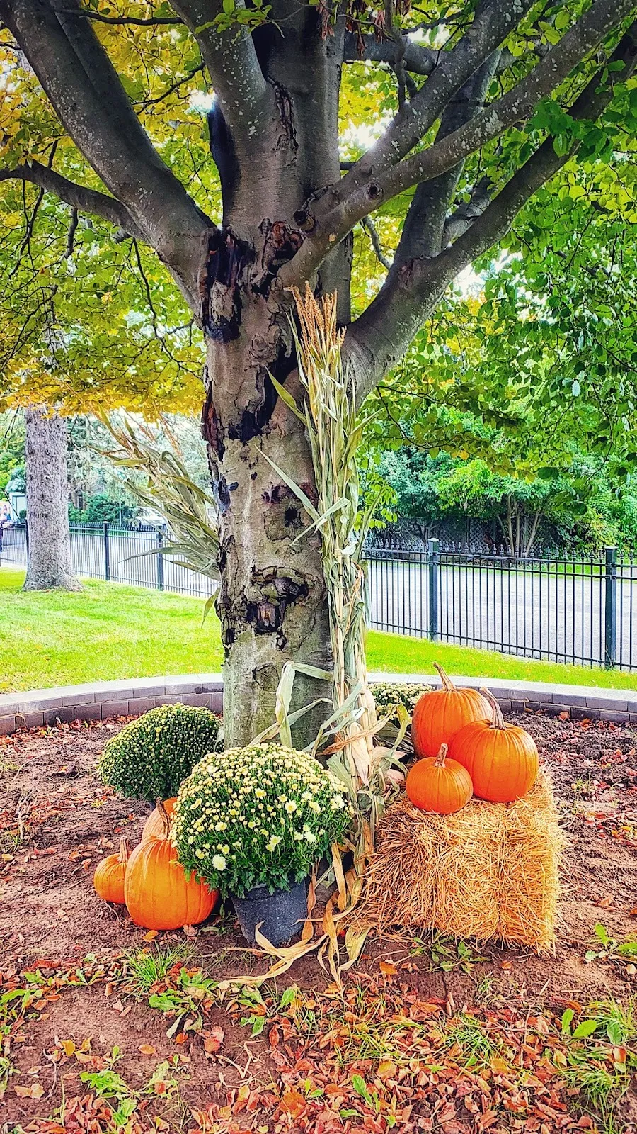 Lynden School campus photo 7